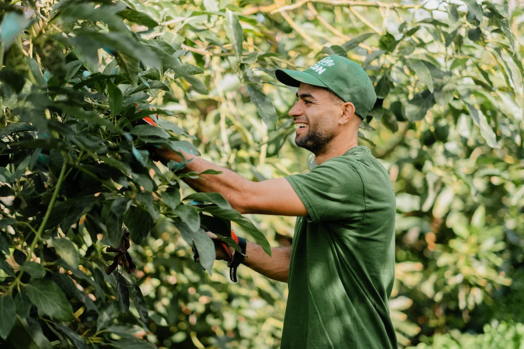 8742bc26-d0d4-4e7b-81d5-c90e28492350