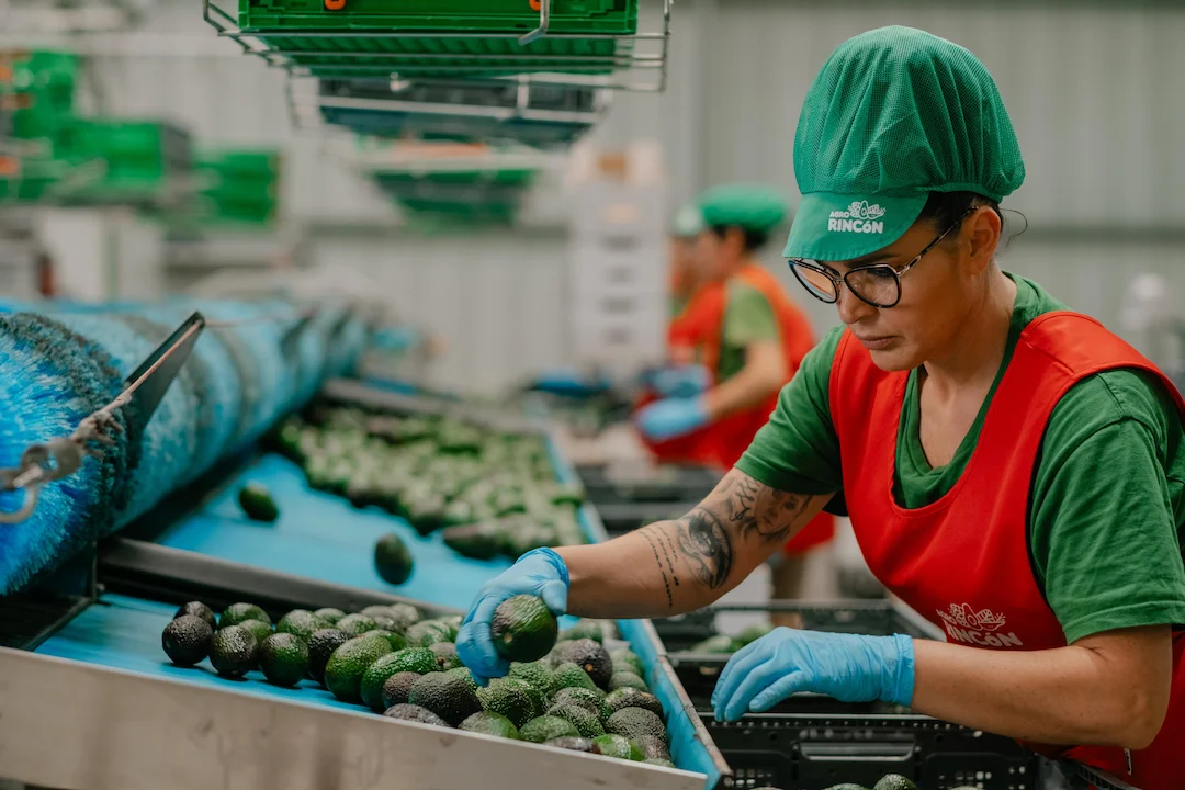 960a50fe-cc15-482a-9a17-45f10438fcd2